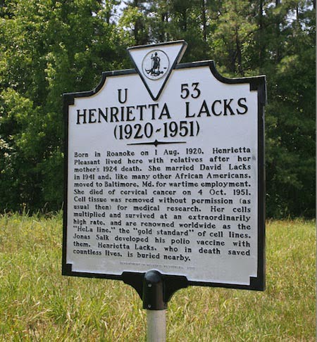Historic marker in Clover, Virginia honors Henrietta Lacks.