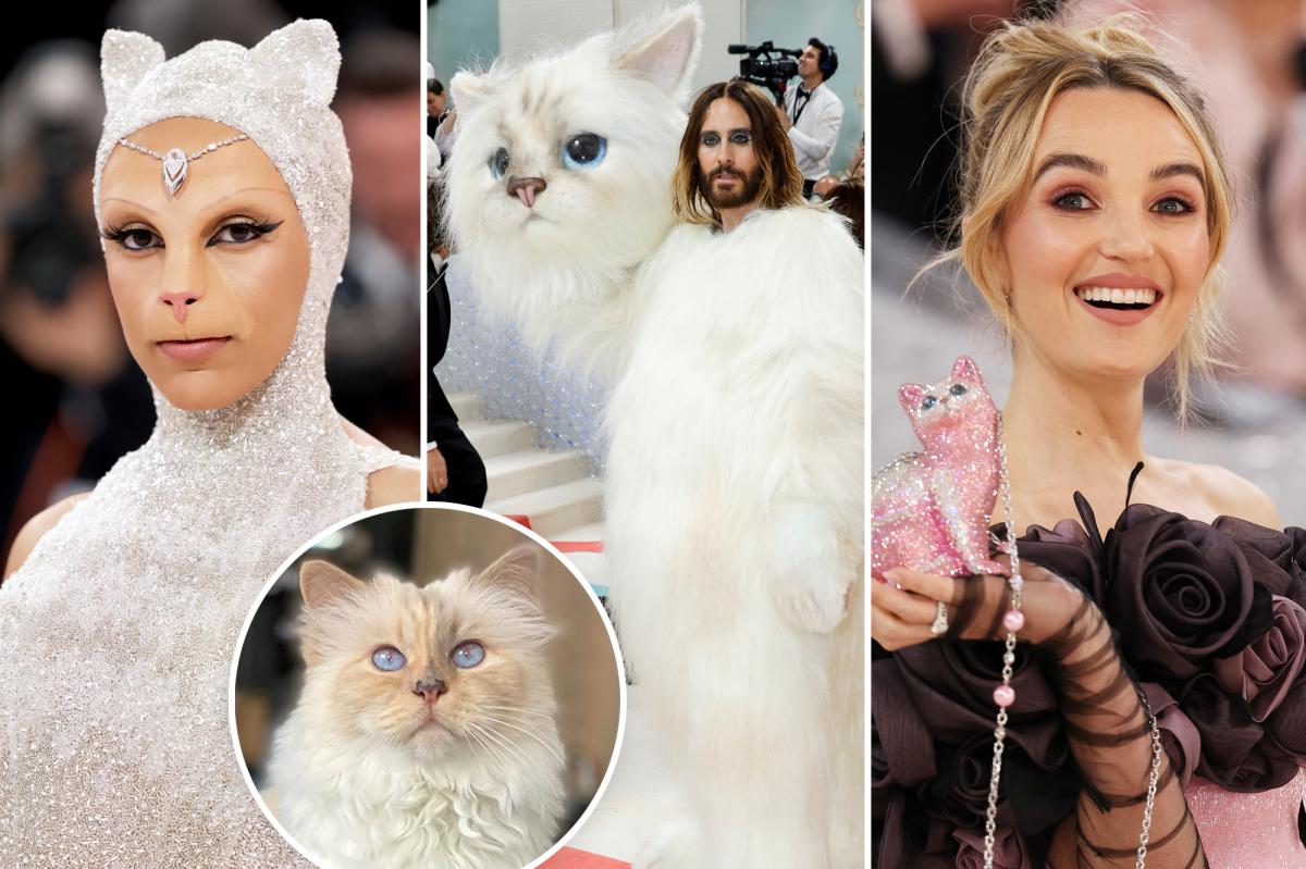 Choupette the cat responds to Met Gala outfits: ‘Do I have a twin ...