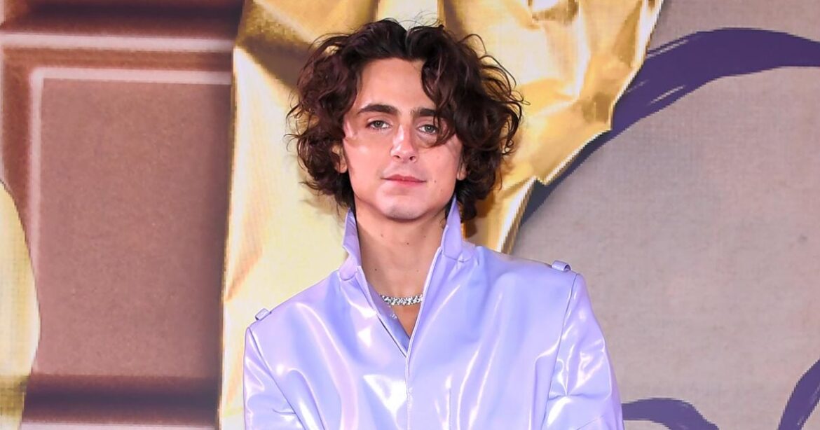 Timothee Chalamet Looks Like Candy in Glossy Purple Suit at ‘Wonka ...